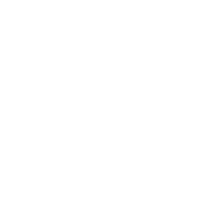 Search